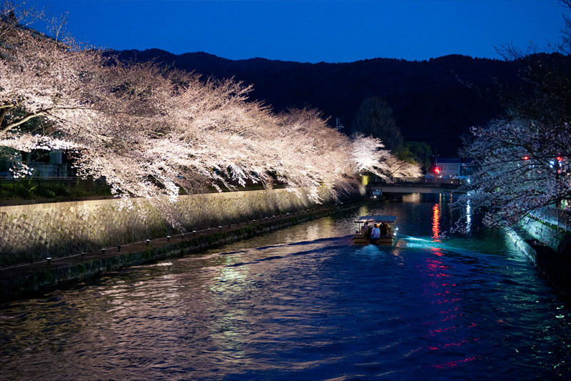 桜回廊ライトアップ＆十石舟めぐり